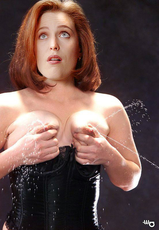 Gillian Anderson fakes by wd 0054