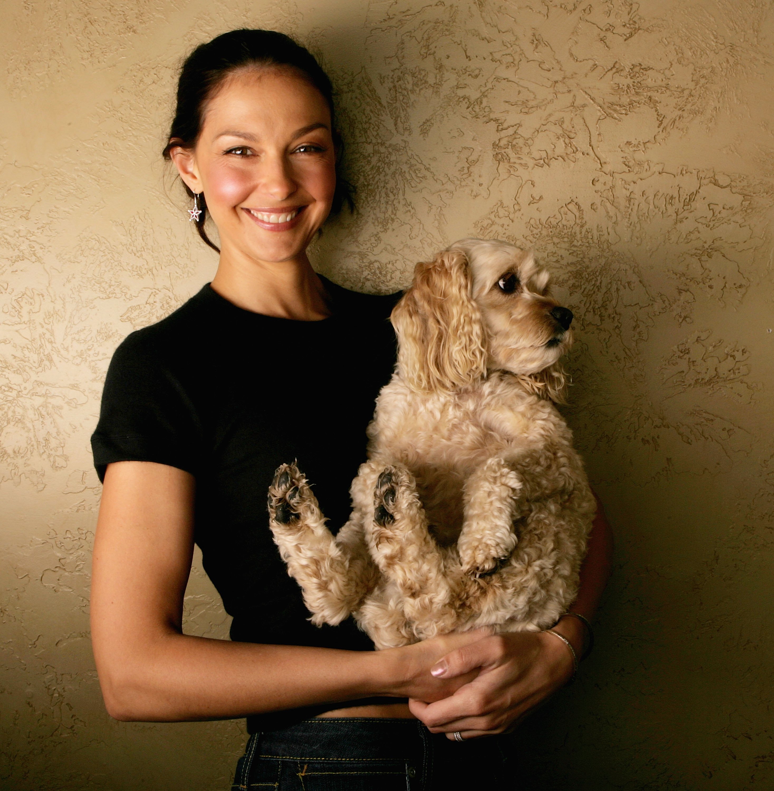 Ashley Judd Nu Photoshoot 11 (Ashley_Judd_Nu_Photoshoot_11.jpg) Image -  4528698 - TurboImageHost.com